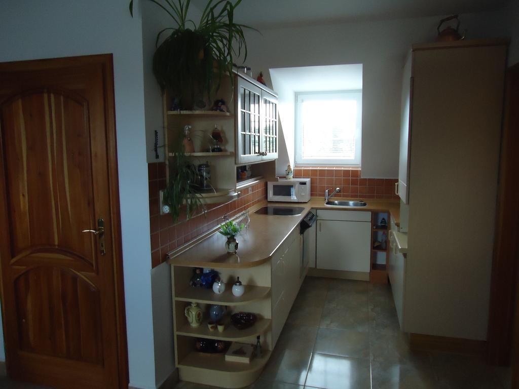 Apartment Duhova Františkovy Lázně Værelse billede